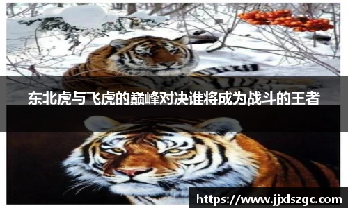 雷火电竞官网
